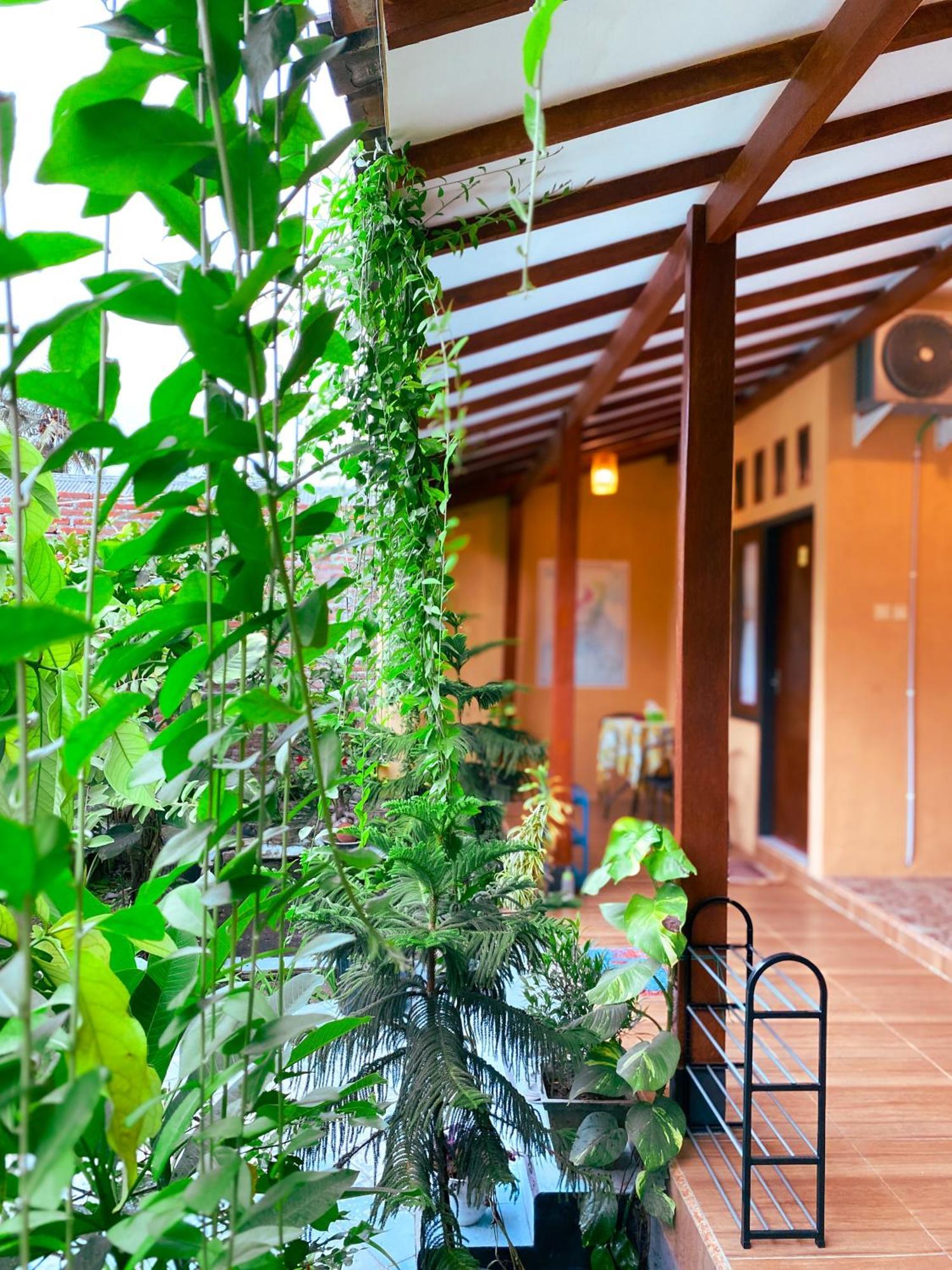Nitha Homestay Banyuwangi (East Java)